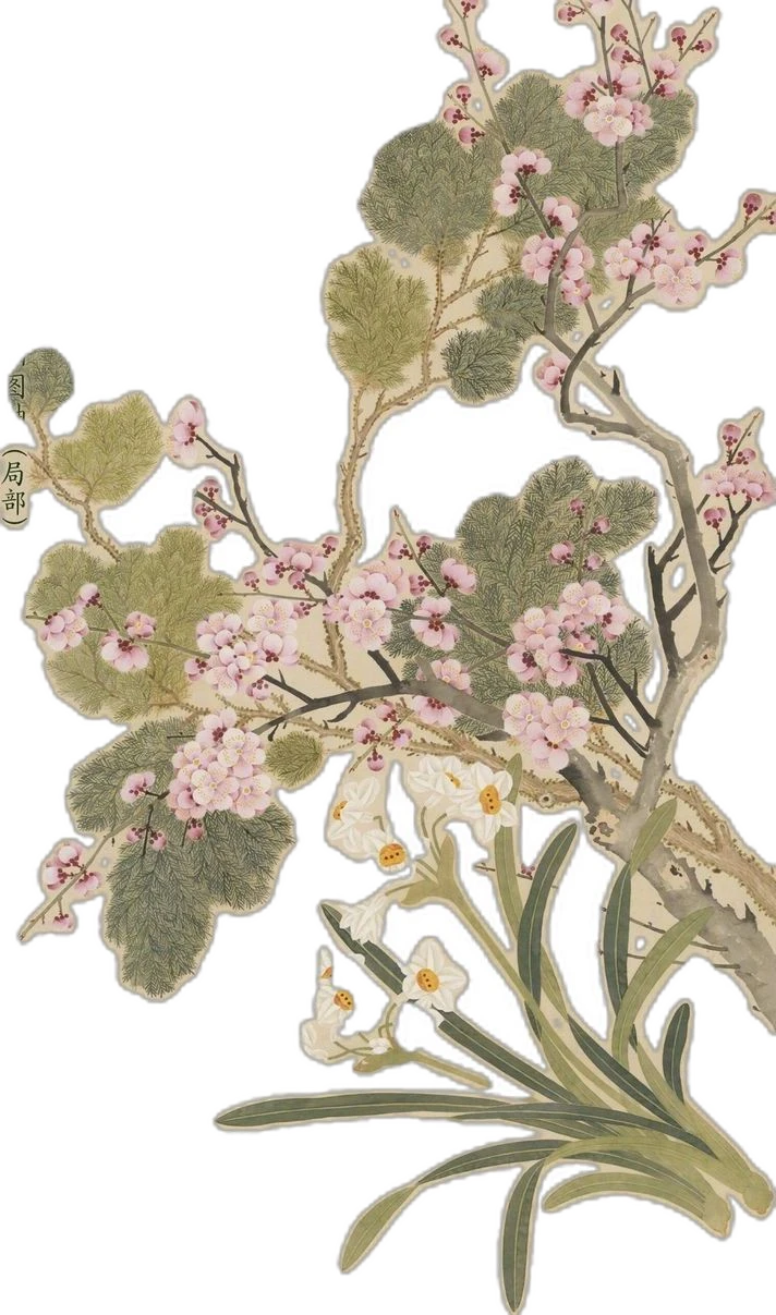 Watercolor cherry blossom branch with pine and narcissus