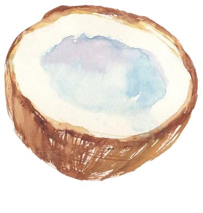 Watercolor coconut