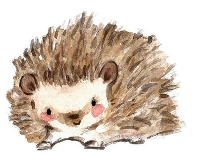 Watercolor hedgehog