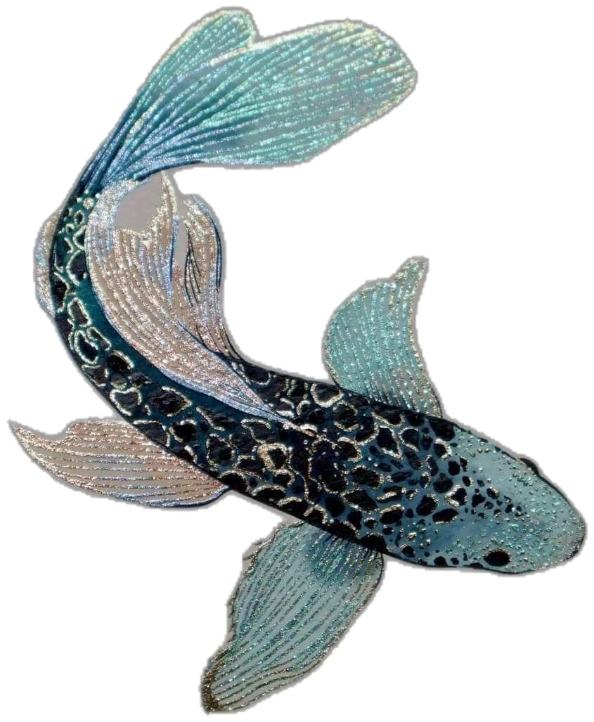 Shimmering koi fish