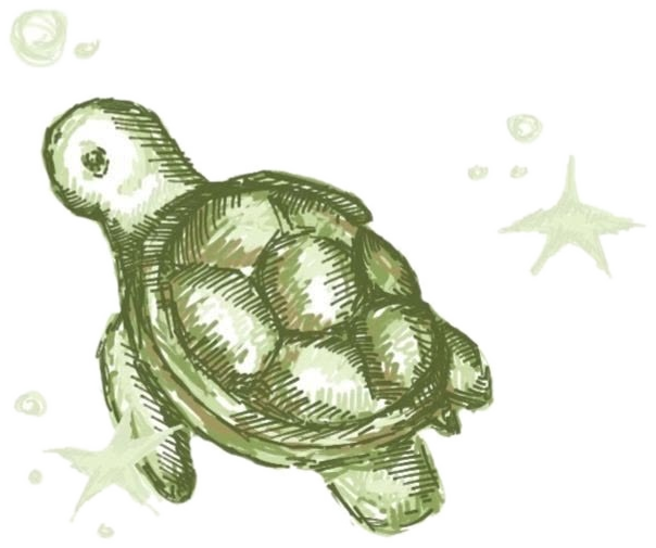 Watercolor sea turtle